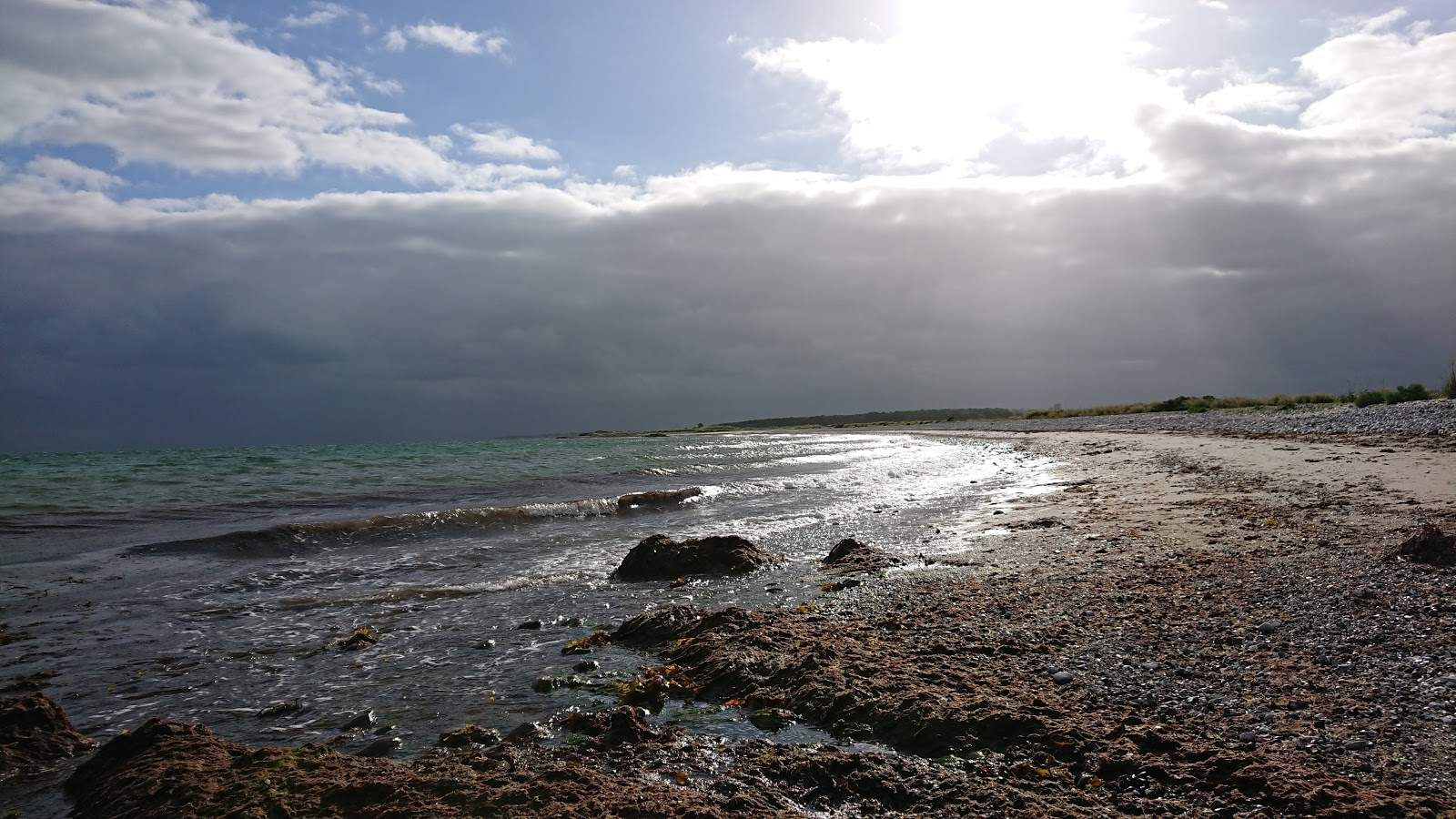 Foto van Erikhale Beach wilde omgeving