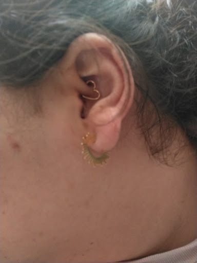 Explore tattoo ideas peacock, creative tattoo ideas in Orange, available at The Piercing Shop