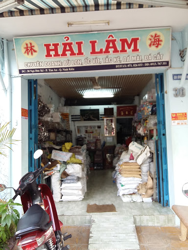 Bulong ốc vít Hải Lâm