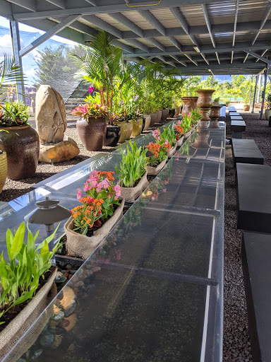 Plant shops in Honolulu