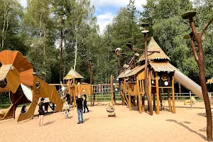 Simba's playground image