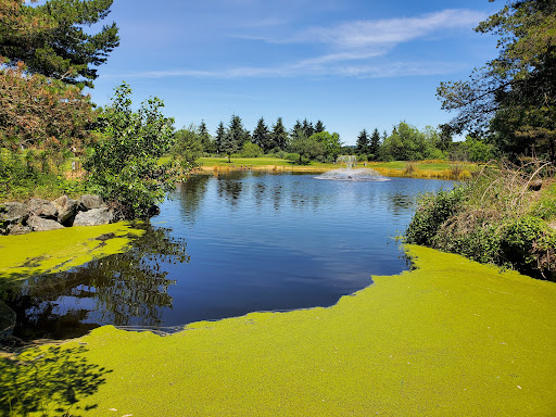 Golf Course «Willows Run Golf Complex», reviews and photos, 10402 Willows Rd, Redmond, WA 98052, USA