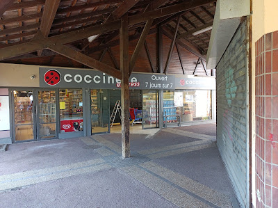 Coccinelle à Savigny-le-Temple