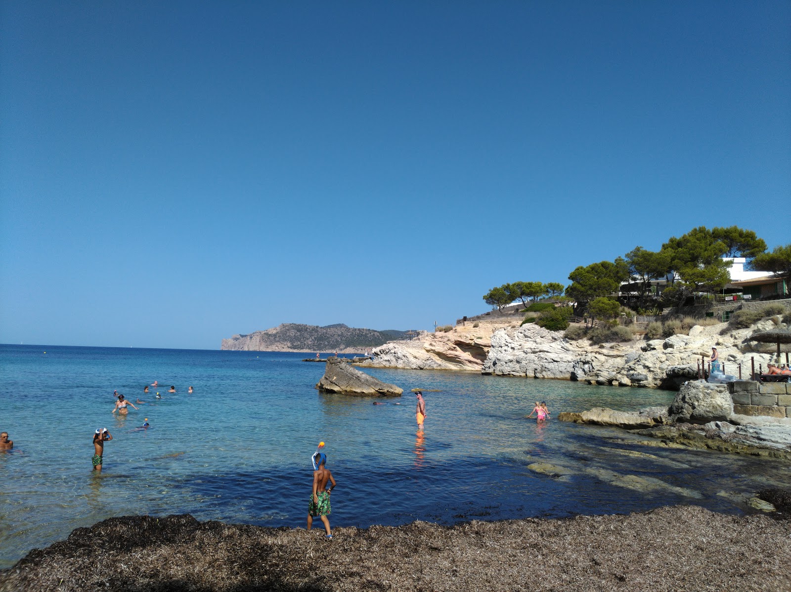 Platja Cala Blanca photo #8