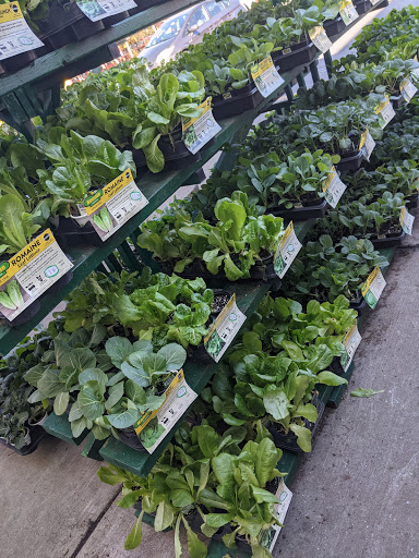 Home Improvement Store «The Home Depot», reviews and photos, 7111 Westlake Terrace, Bethesda, MD 20817, USA