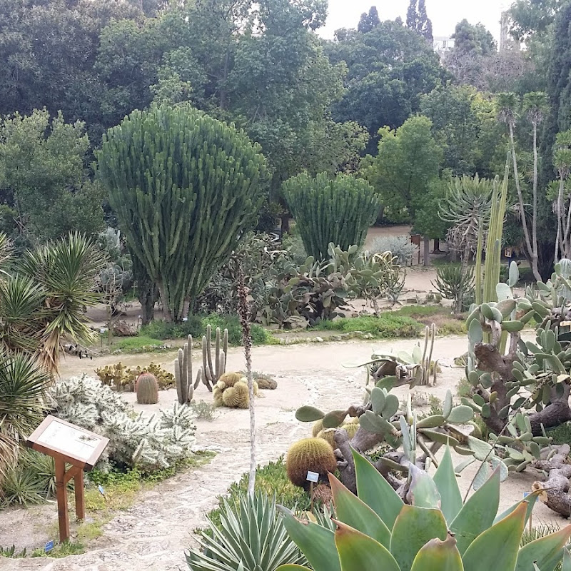 Orto Botanico dell'Università di Cagliari