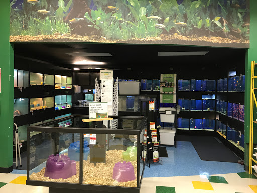 Pet Supply Store «Pet Supplies Plus», reviews and photos, 9143 Little Rd, New Port Richey, FL 34654, USA