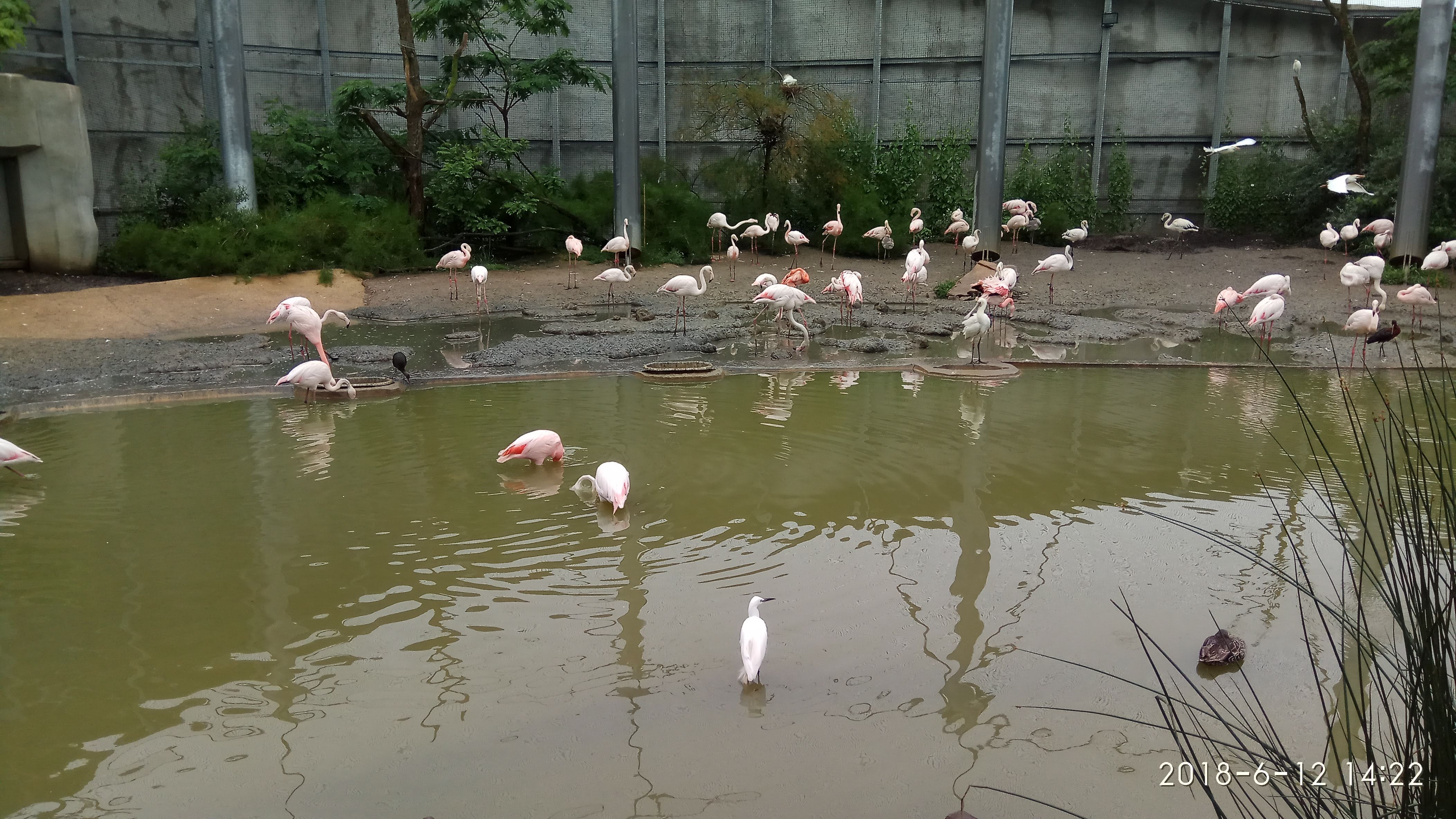 Photo n° 10 de l'avis de Swiss.e fait le 15/06/2018 à 19:24
