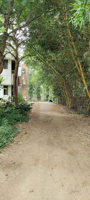 Google Maps image 15