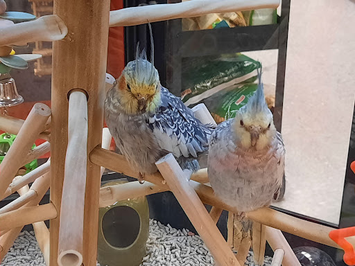 Pet Supply Store «Petco Animal Supplies», reviews and photos, 753 53rd Ave NE, Fridley, MN 55421, USA