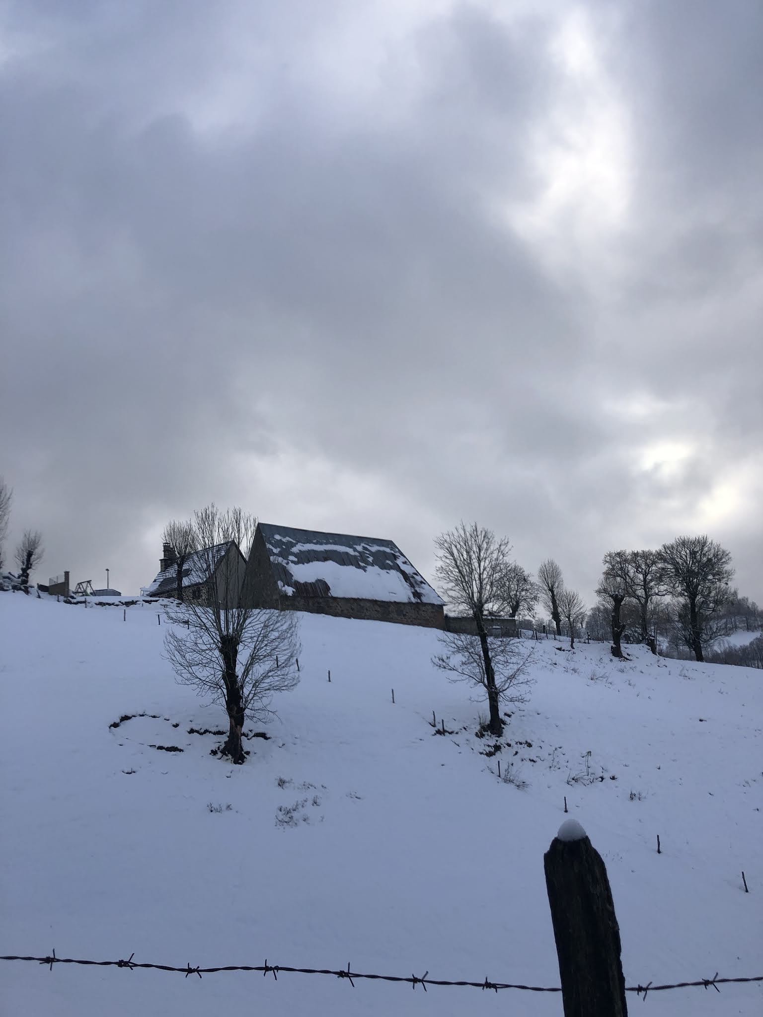 Photo n° 1 de l'avis de Emanescence. fait le 28/01/2021 à 21:27