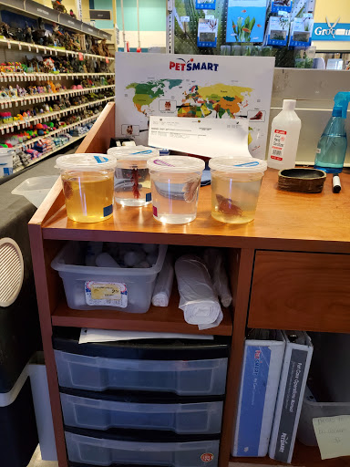 Pet Supply Store «PetSmart», reviews and photos, 9960 N 91st Ave, Peoria, AZ 85345, USA