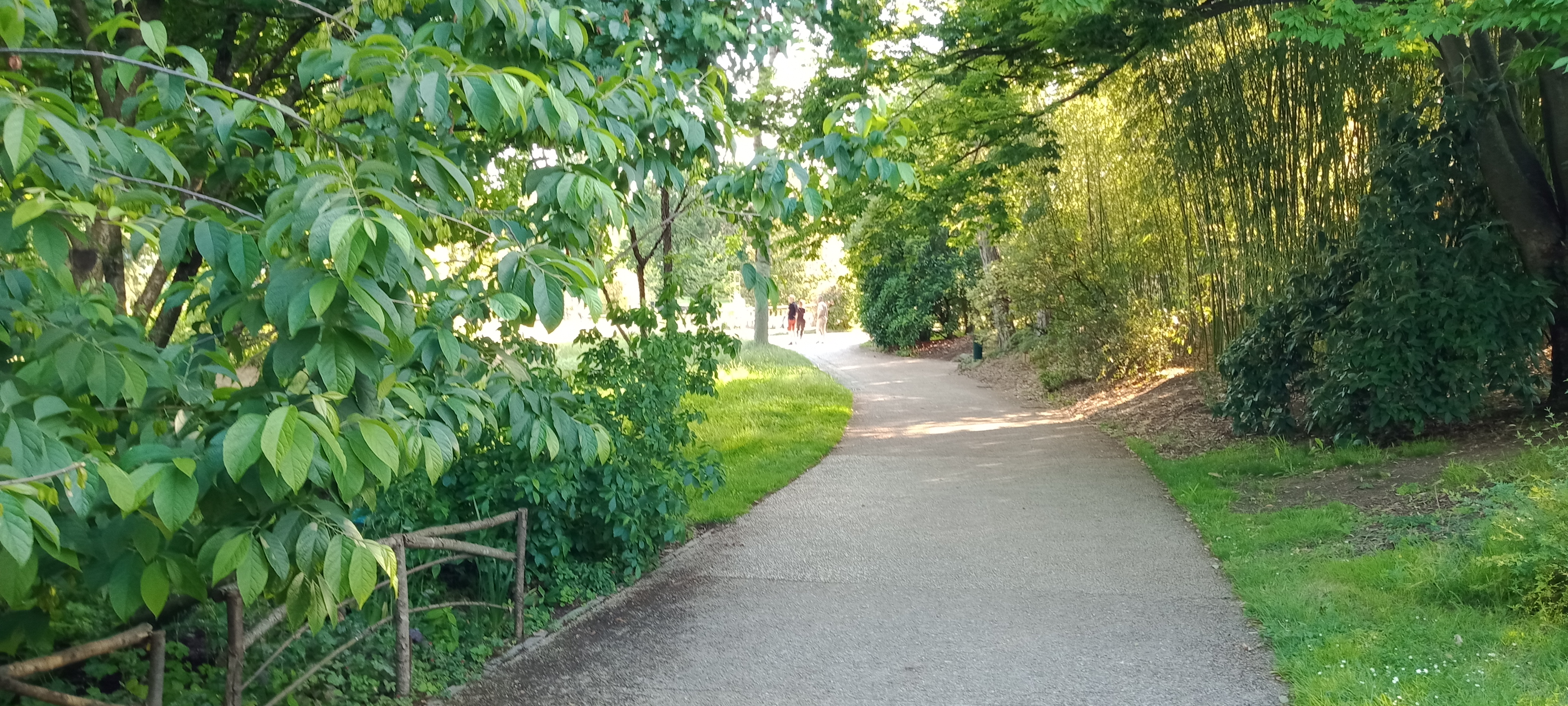 Photo n° 31 de l'avis de Golden.l fait le 29/05/2022 à 15:49
