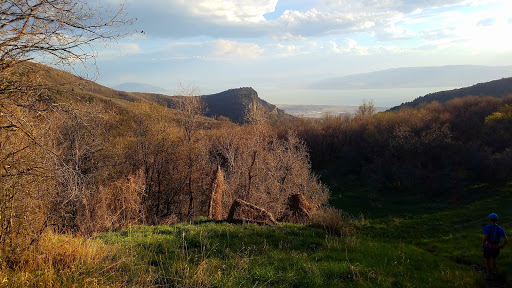 Bakery «Krispy Kreme Doughnuts», reviews and photos, 417 W University Pkwy, Orem, UT 84057, USA