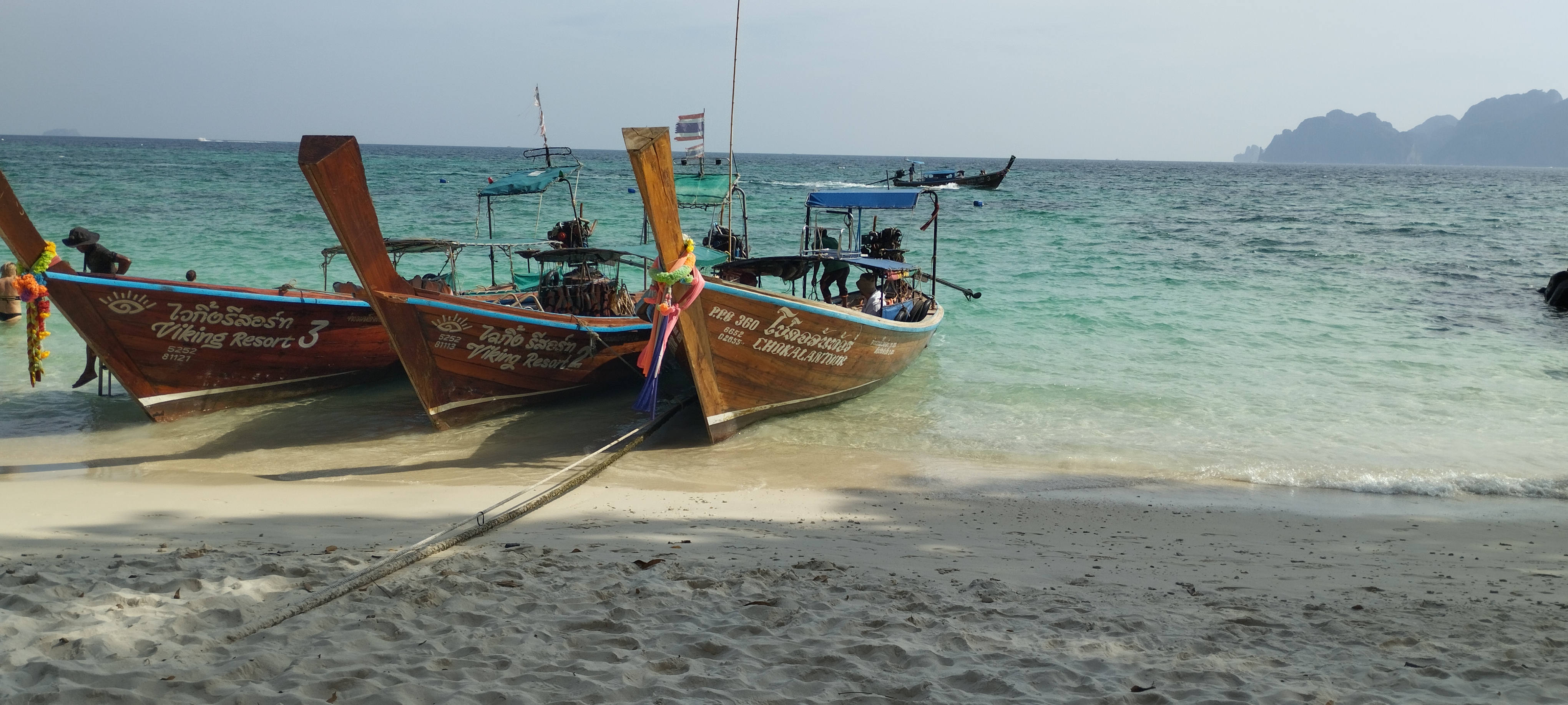 Photo n° 1 de l'avis de François.e fait le 06/03/2024 à 11:50