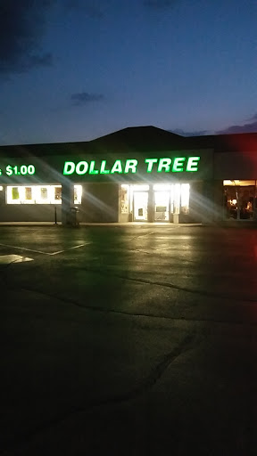 Dollar Store «Dollar Tree», reviews and photos, 2226 N Lebanon St, Lebanon, IN 46052, USA