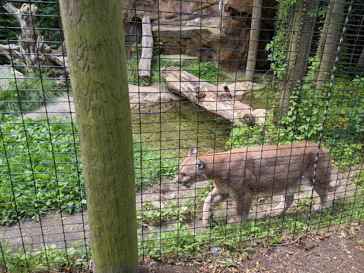 Zoo «Buttonwood Park Zoo», reviews and photos, 425 Hawthorn St, New Bedford, MA 02740, USA