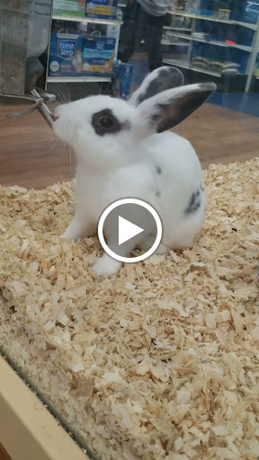 Pet Supply Store «Pet Supermarket», reviews and photos, 2449 S Hiawassee Rd, Orlando, FL 32835, USA
