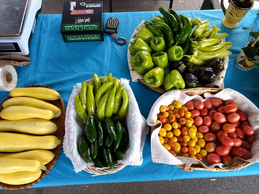 Arts Organization «HART Theatre», reviews and photos, 250 Pigeon St, Waynesville, NC 28786, USA