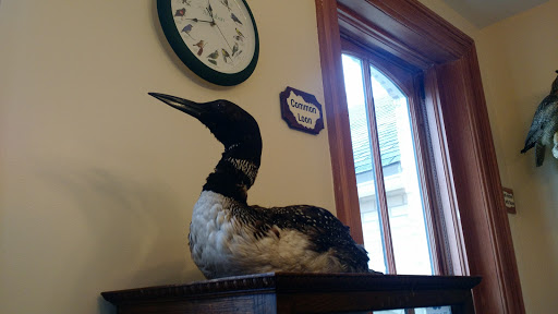 Learning Center «Trailside Museum of Natural History», reviews and photos, 738 Thatcher Ave, River Forest, IL 60305, USA