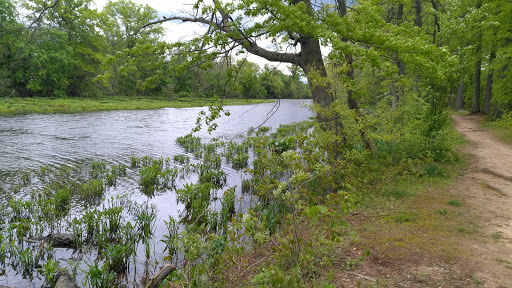 Liquor Store «Liquor Barn», reviews and photos, 1007 Old York Rd, Raritan, NJ 08869, USA