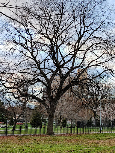 Museum «King Manor Museum», reviews and photos, 150-03 Jamaica Ave, Jamaica, NY 11432, USA