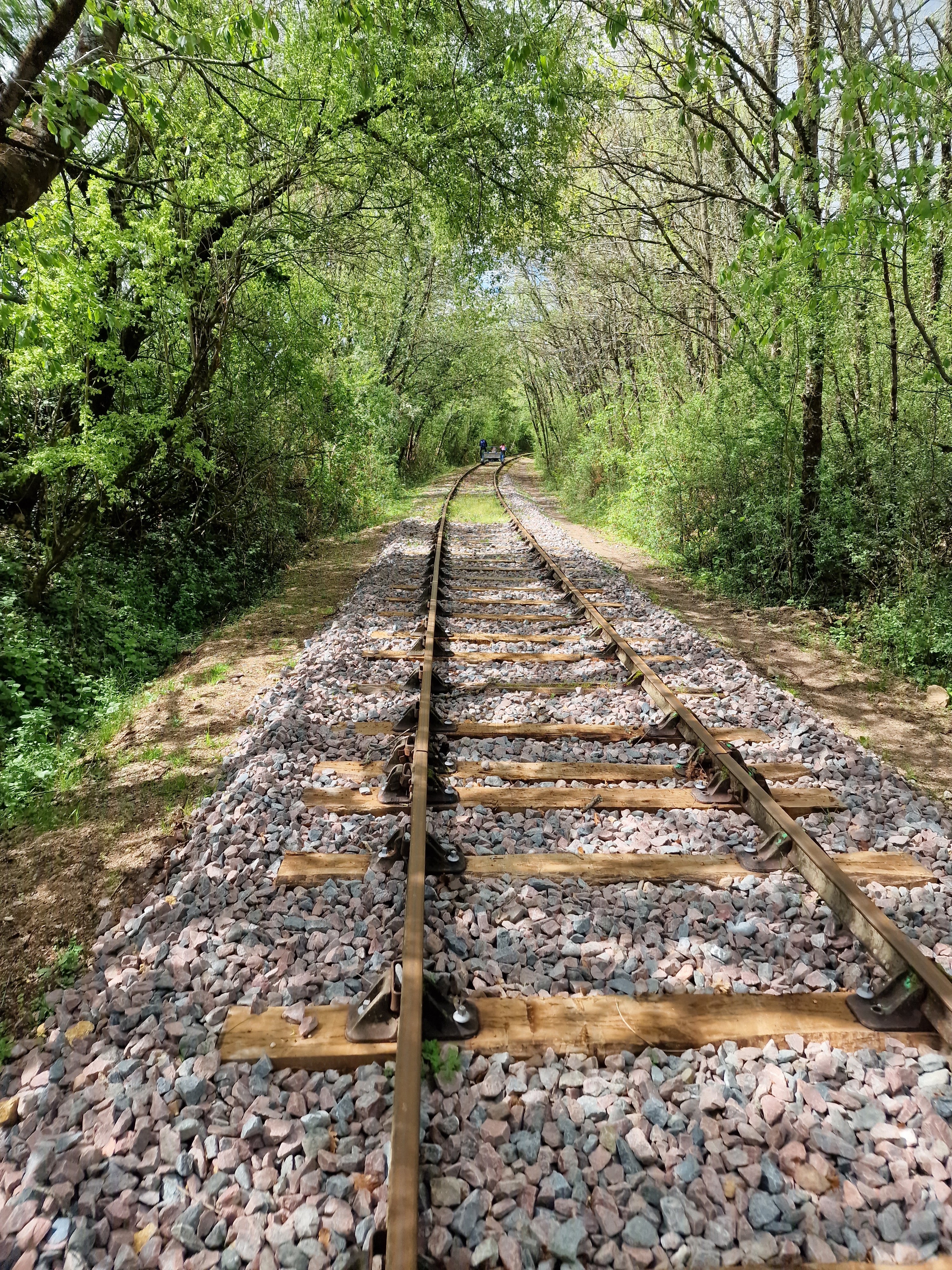 Photo n° 2 de l'avis de Mme.r fait le 01/05/2023 à 17:46