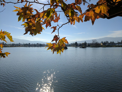 Park «Los Gatos Creek County Park», reviews and photos, 1250 Dell Ave, Campbell, CA 95008, USA