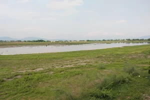 Laguna de Axochiapan image