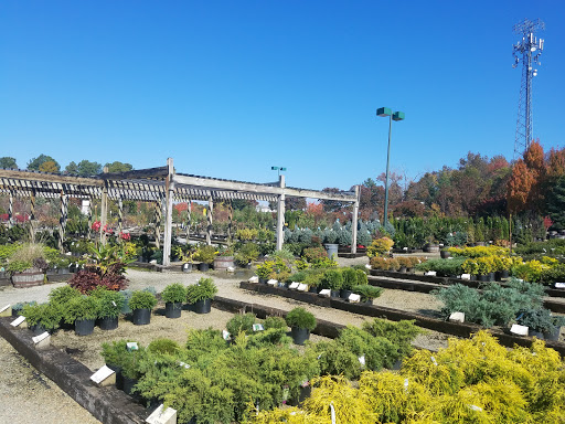 Garden center Richmond