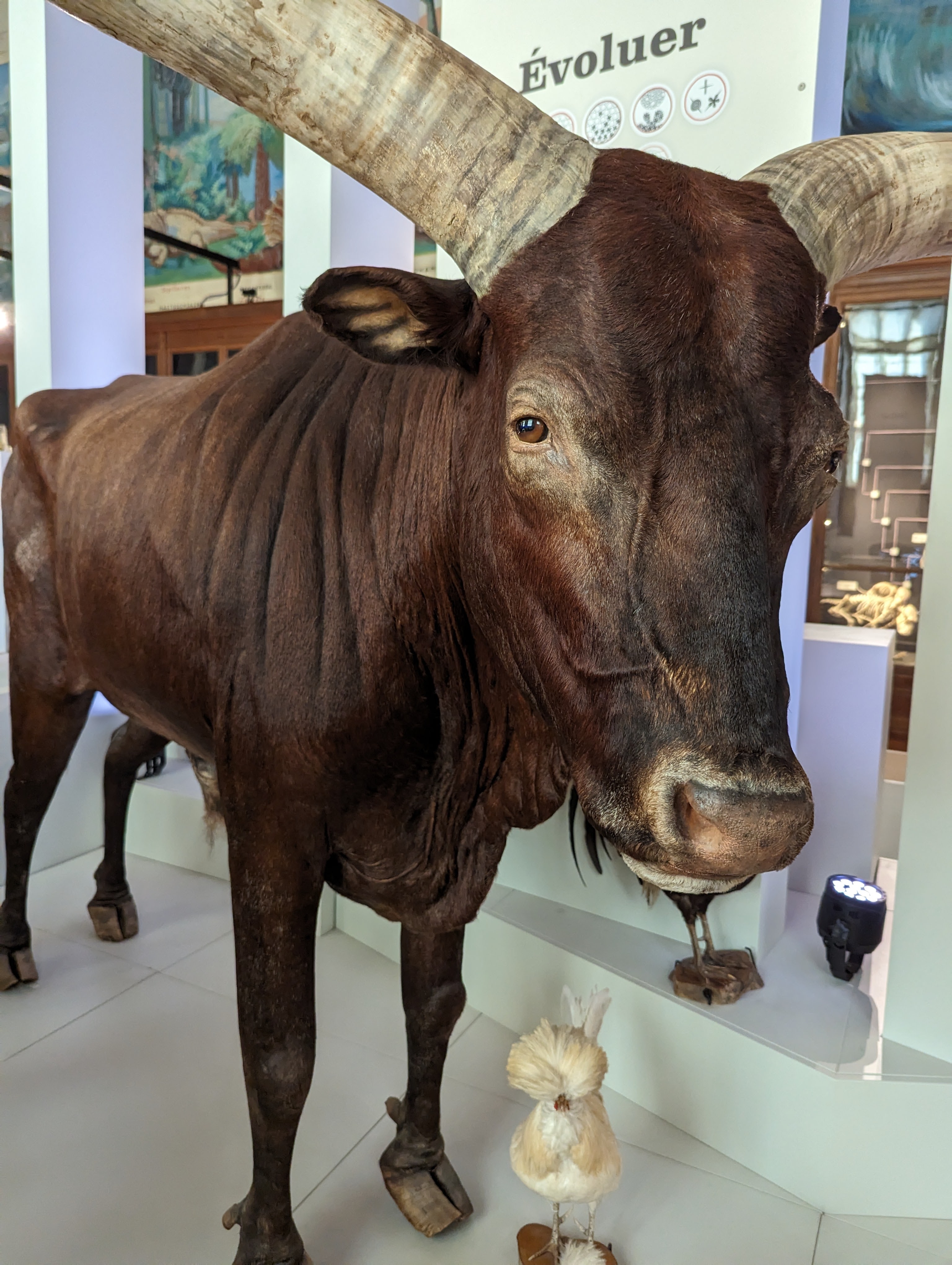 Photo n° 1 de l'avis de Aurelien.m fait le 09/09/2023 à 23:32