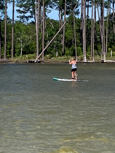 Surf Shop «BOTE Retail Store - Destin, FL», reviews and photos, 383 Harbor Blvd, Destin, FL 32541, USA