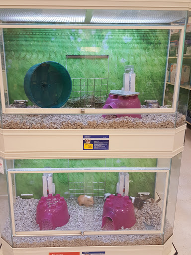 Pet Supply Store «PetSmart», reviews and photos, 4731 Commercial Dr, New Hartford, NY 13413, USA