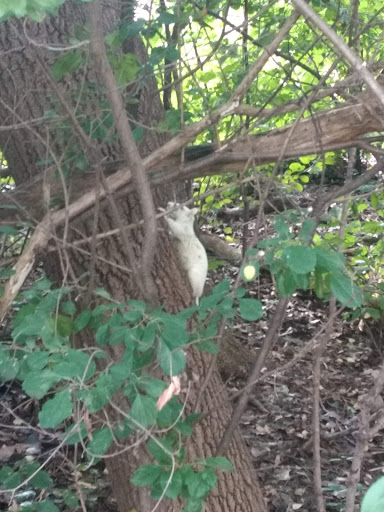 Park «Bass Lake Park», reviews and photos, 3450 Glenhurst Ave, Minneapolis, MN 55416, USA