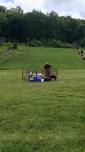 Ski Resort «Shawnee Mountain Ski Area», reviews and photos, 401 Hollow Rd, East Stroudsburg, PA 18301, USA