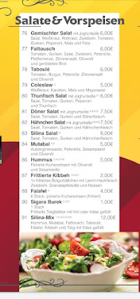 Restaurant Grillhaus Silina - Irina Ashlak à Rhauderfehn - menu / carte