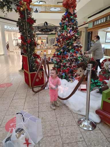 Clothing Store «Zumiez», reviews and photos, 14000 Lakeside Cir #2550, Sterling Heights, MI 48313, USA