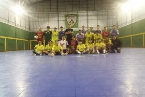 Ace Futsal image