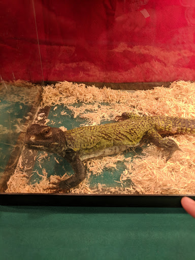 Reptile Store «Cleveland Reptile Show», reviews and photos, 17250 Hummel Rd, Brook Park, OH 44142, USA