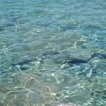 Photo n°1 de l'avis de Pino.i fait le 04/06/2017 à 11:43 sur le  Bar Ristorante di Surace Vincenzo à Motta San Giovanni