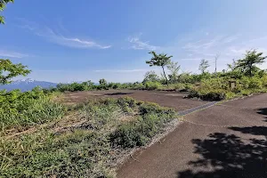 Mitsumineikoinomori Park image