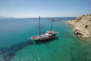 Odyssey Boat Cruises image
