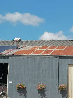 WM habitat à Saint-Jacques-de-la-Lande