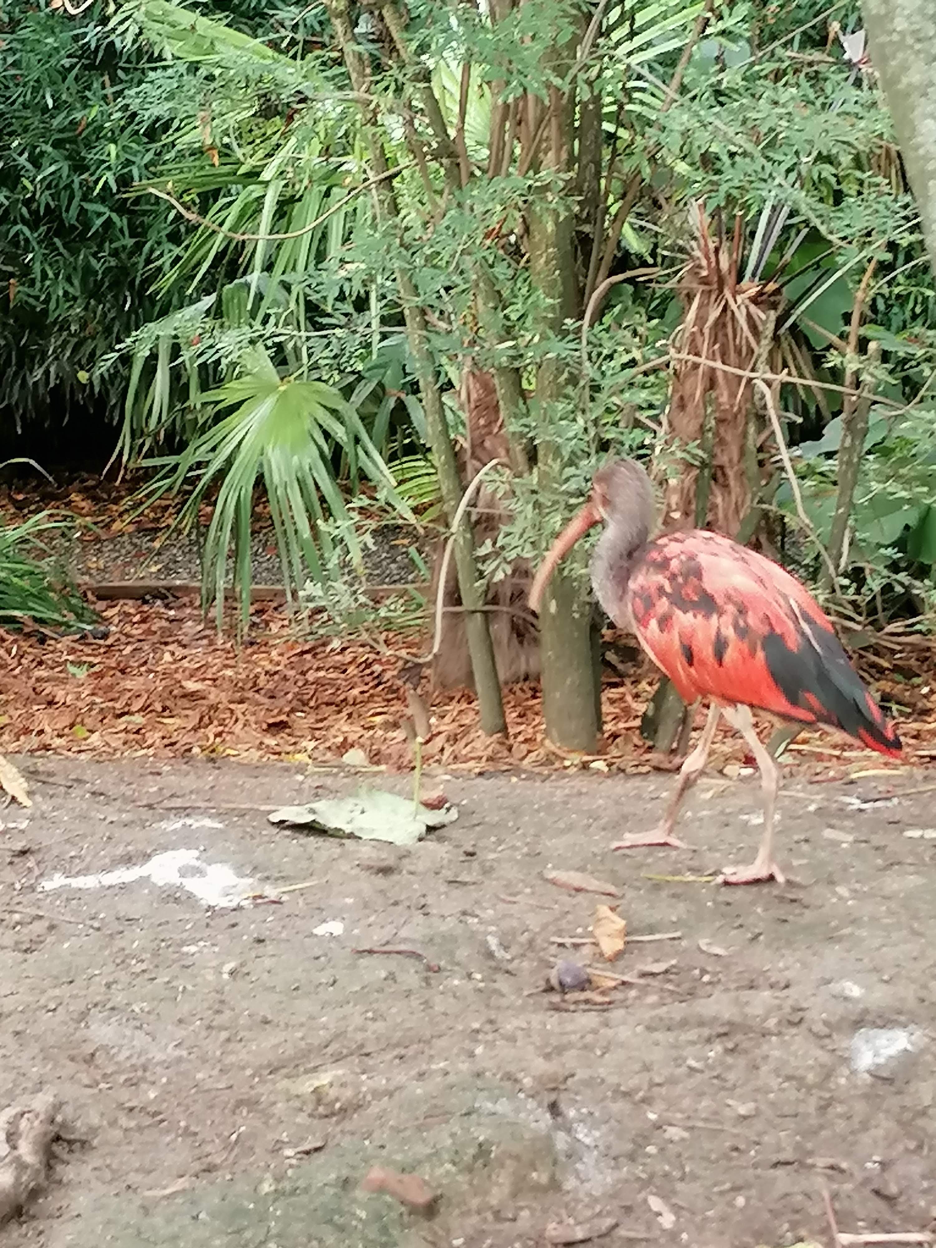 Photo n° 8 de l'avis de Gaele.e fait le 30/10/2023 à 08:36