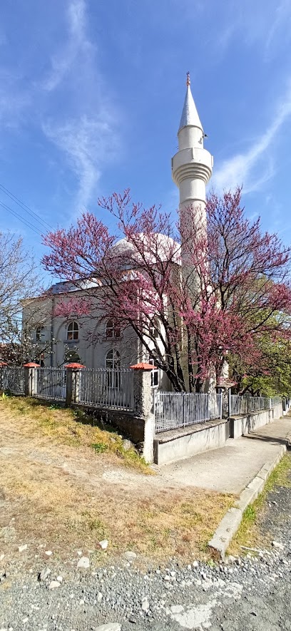 Джамия Тополица