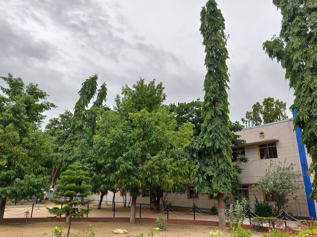 Vidya Mandir High School
