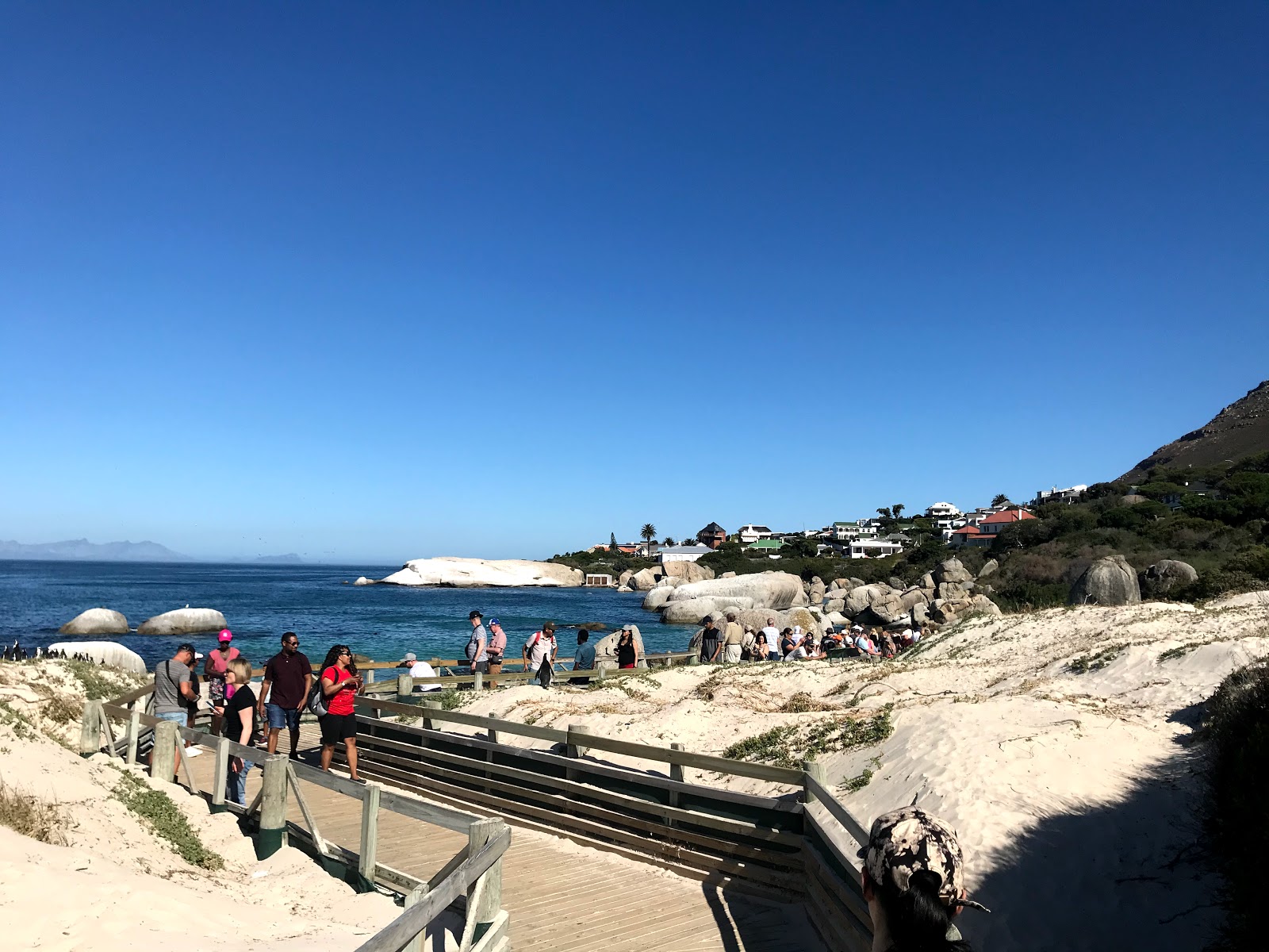 Photo of Boulders Beach and the settlement