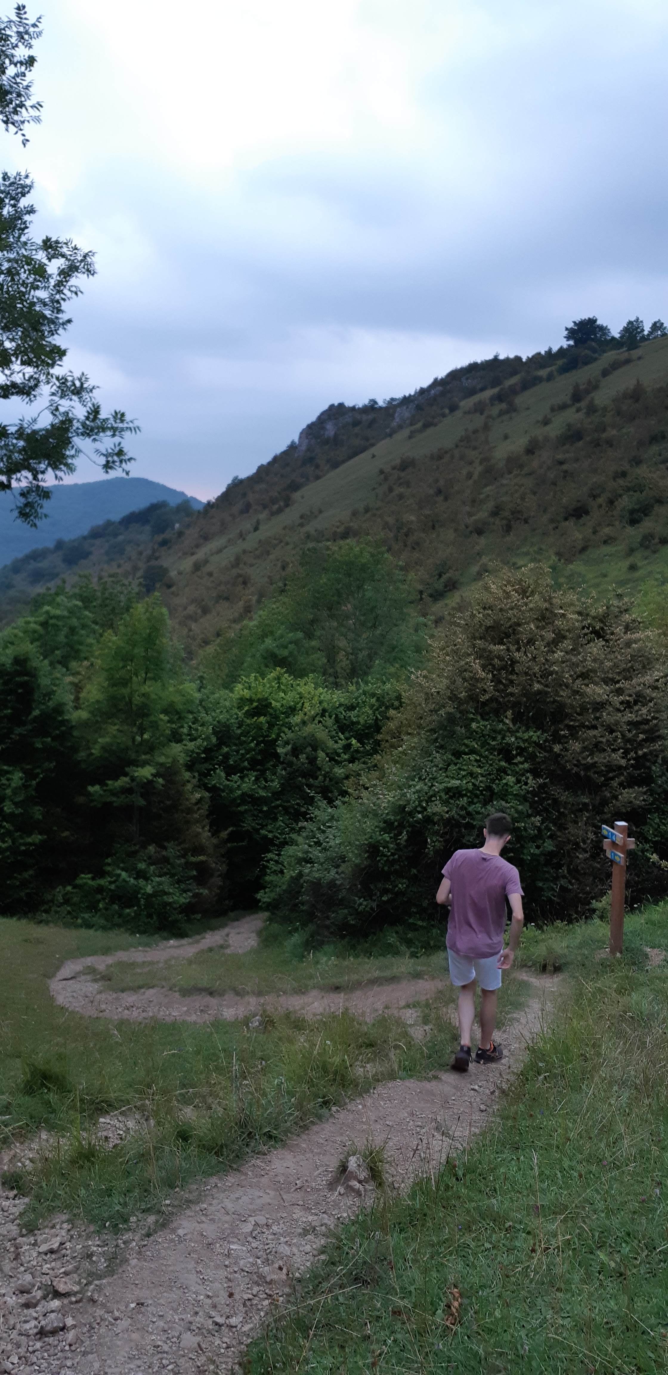 Photo n° 1 de l'avis de Zyzomis. fait le 30/07/2018 à 11:24