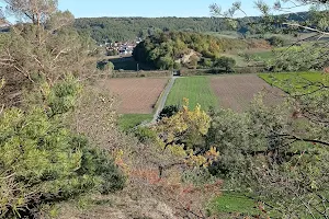 Schwiemelkopf image