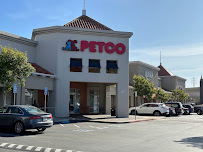 Petco - Photo 2 - Car repair in San Mateo, CA, Oakland